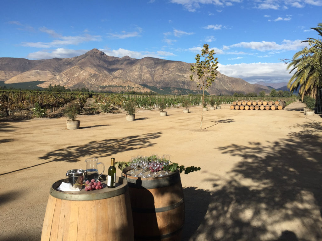 sanchez de loria winery aconcagua