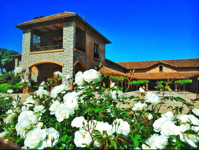 casa marin san antonio valley