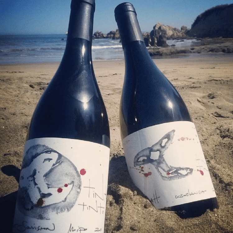 tinta tinto winery bottles during san antonio wine tour