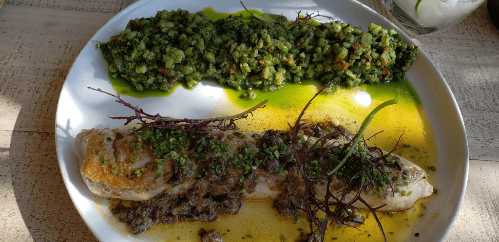 green rice macerado san antonio valley wine tour