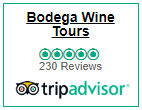 tripadvisor review count bodega wine tours