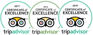 Tripadvisor certificates for bodega wine tours