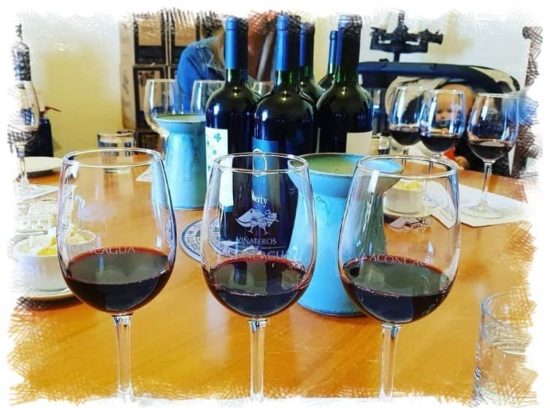 Aconcagua Wine Tasting at Flaherty