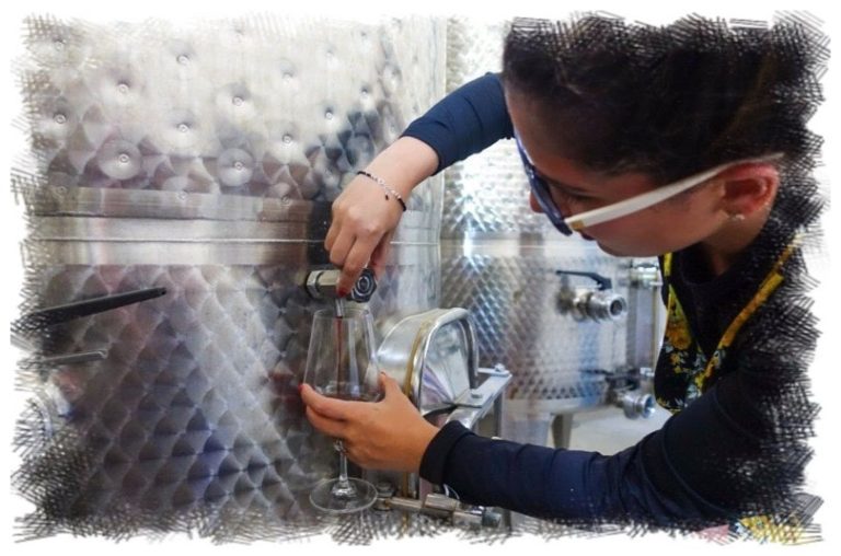 Tank Tasting Casablanca Valley