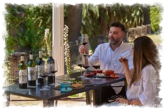 Tasting at Viña Maquis in the Colchagua Valley