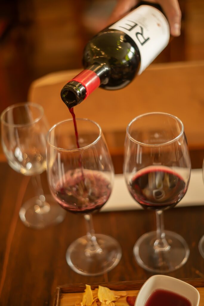 Wine Tasting following tour at Bodegas RE